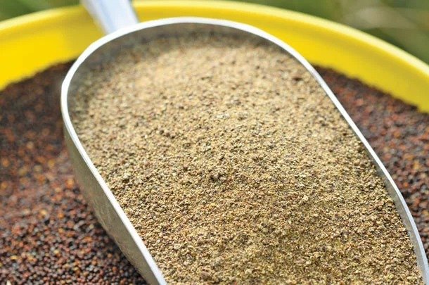 WhatsApp Image 2026-02-02 at 8.25.27 PM